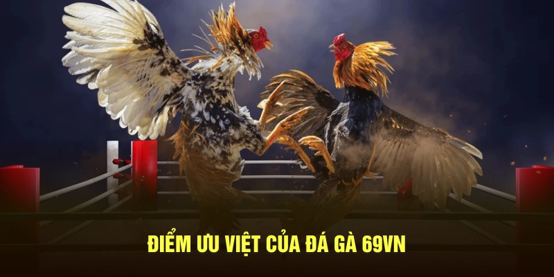 ưu điểm sảnh cược đá gà 69VN
